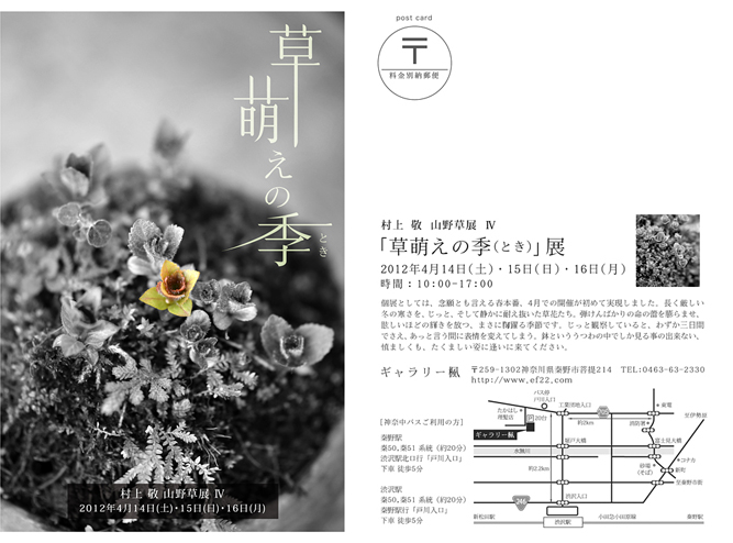 村上 敬 山野草展 Ⅳ 『草萌えの季(とき)』展